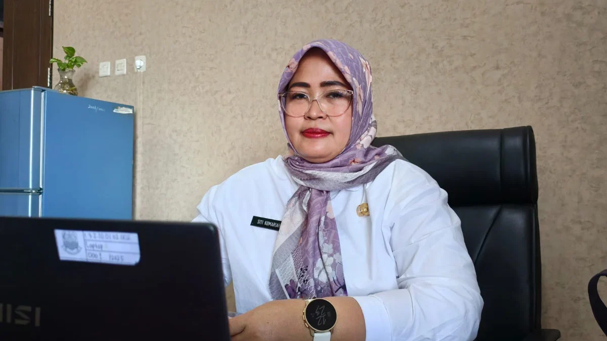 Sekretaris DPMPTSP Kabupaten Cirebon Siti Komariyah SKep Ners MAP